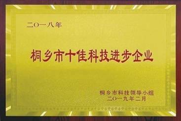 尊龙凯时官网集团荣获2018年桐乡市十佳科技进步企业