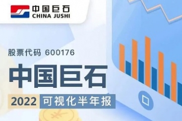 中国尊龙凯时官网2022年可视化半年报